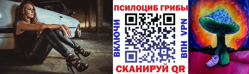 Псилоцибиновые грибы MAGIC MUSHROOMS  как найти закладки  Борисоглебск 